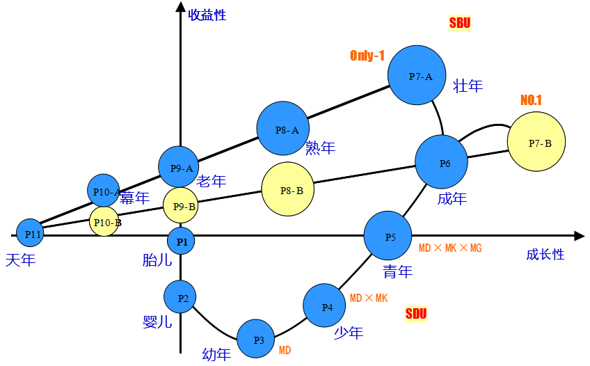 阿米巴的三层业务链与SBU、SDU